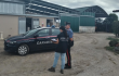 Prevenzione del caporalato, denunciato il proprietario di un'azienda agricola