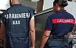 Aprilia, blitz dei Carabinieri in due negozi: sanzioni e carne sequestrata