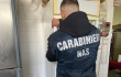 Licenza sospesa a un bar per gravi carenze igieniche: controlli dei Nas in provincia
