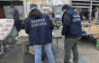 Controlli della Guardia Costiera tra Gaeta e Fondi: sequestrati 160 kg di prodotti ittici e multe