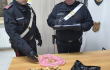 Sabaudia, trovato con 50 bulbi di papavero: denunciato dai Carabinieri
