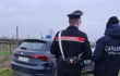 I Carabinieri eseguono un accesso ispettivo presso un&rsquo;azienda agricola: denunciato il proprietario
