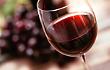 Tre Bicchieri e Cinque Grappoli 2026, tre cantine pontine protagoniste