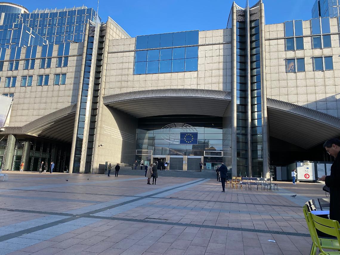 Elezioni Europee,  per il rush finale in provincia arrivano i big