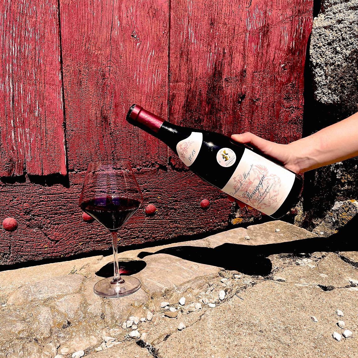 Vini d'Abbazia, tutto pronto per l'edizione 2024 a Fossanova