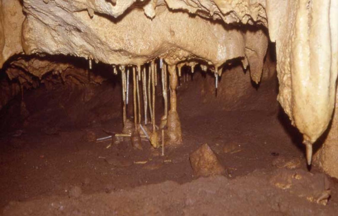 Nuovi scavi nella grotta Vittorio Vecchi, a Sezze si cercano tracce preistoriche