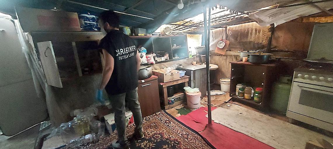 Scoperta una baracca dormitorio per dieci braccianti agricoli