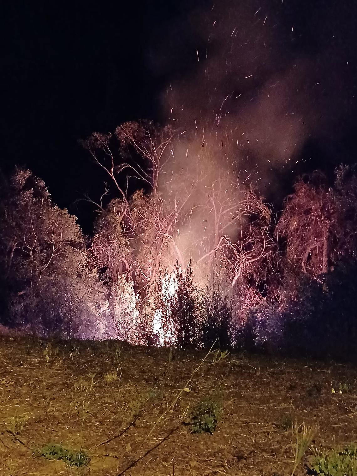 Incendio nella notte, le fiamme arrivano a minacciare le abitazioni