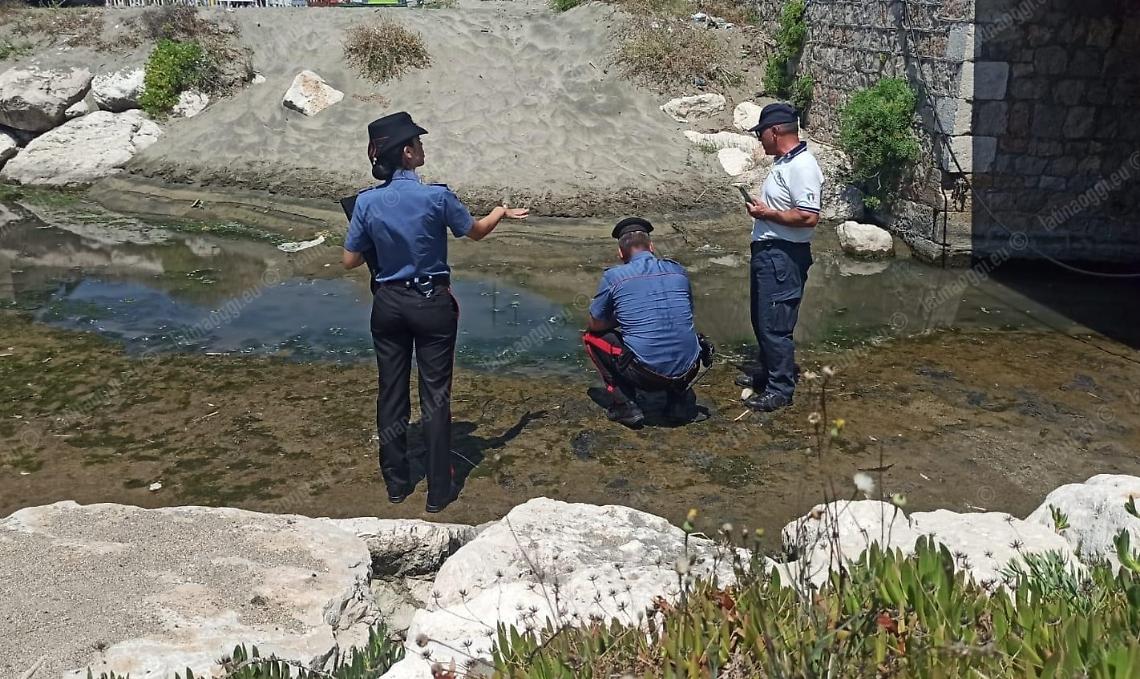Morìa di pesci per ipossia, allarme nel canale Recillo