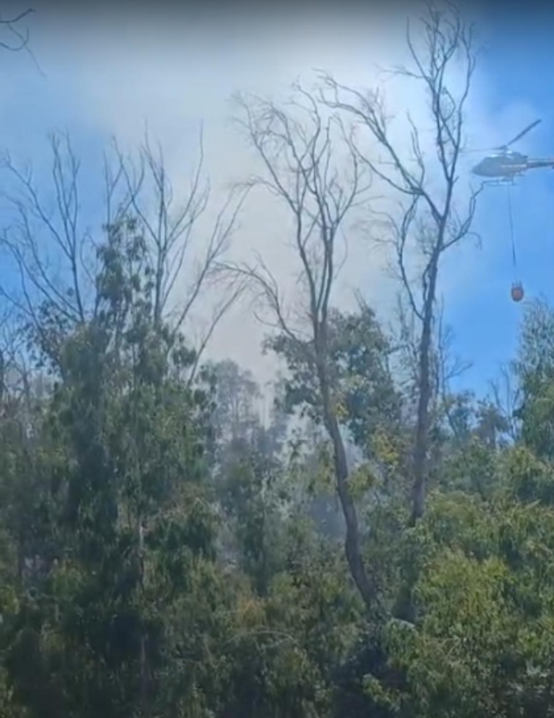Vasto incendio nel bosco a ridosso del Santuario della Madonna della Sorresca