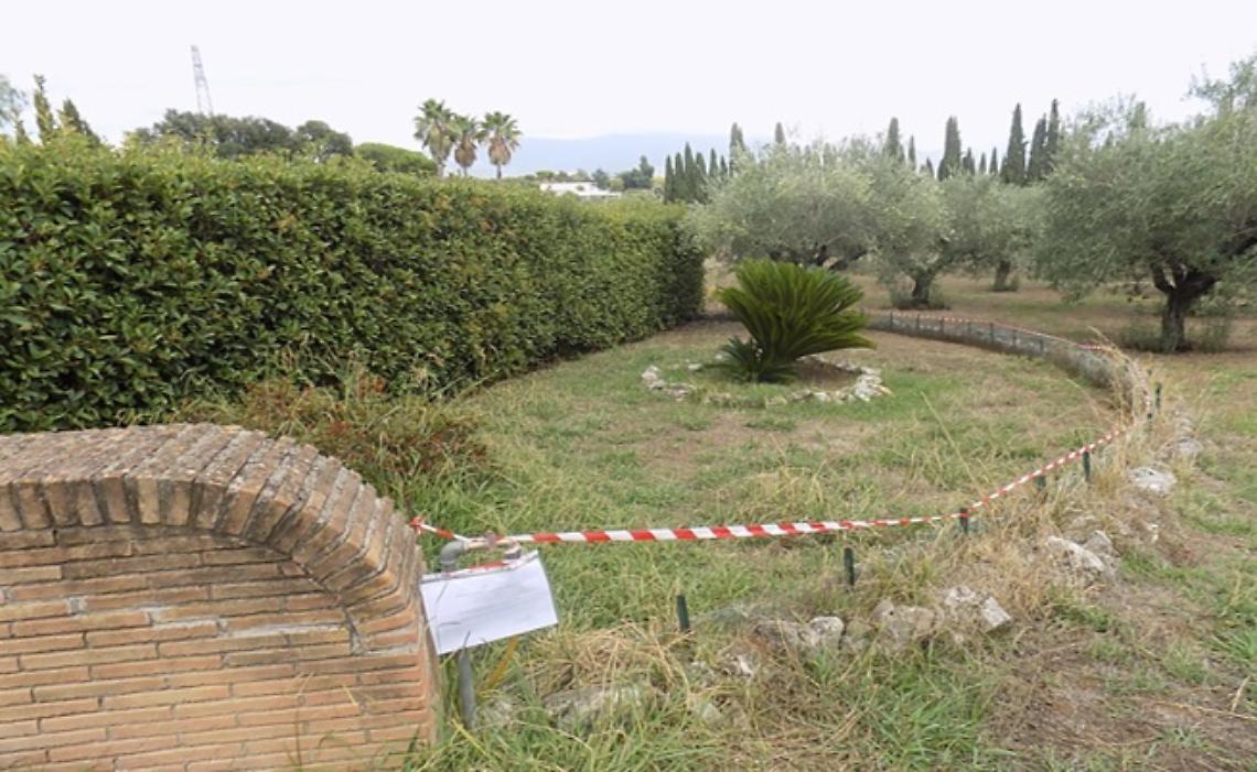 Scoperto e sequestrato un allevamento illegale di tartarughe di terra a Cisterna