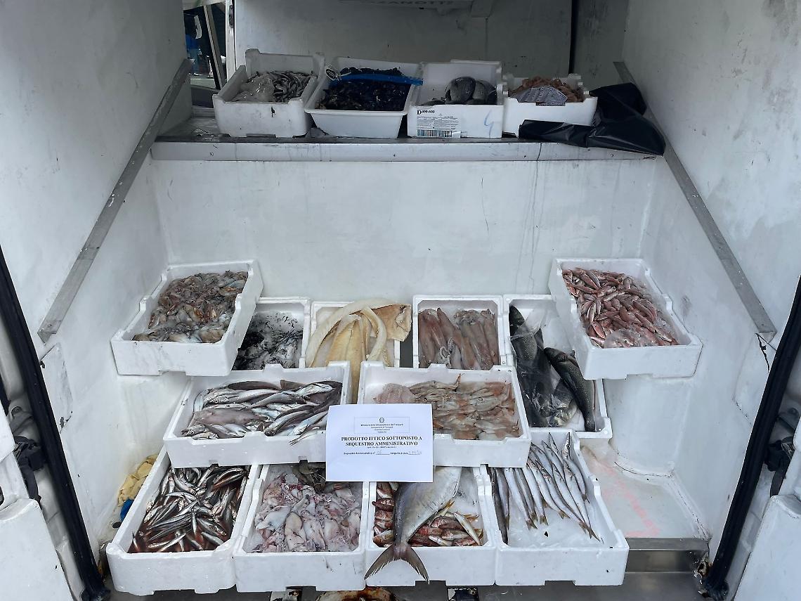 Prodotti ittici senza tracciabilità, sequestati 128 kg di pesce
