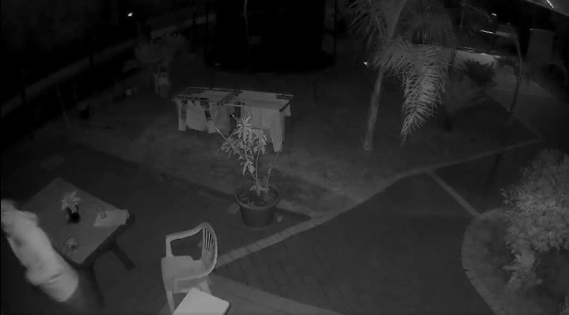 Uccidono il cane per provare a rubare in casa
