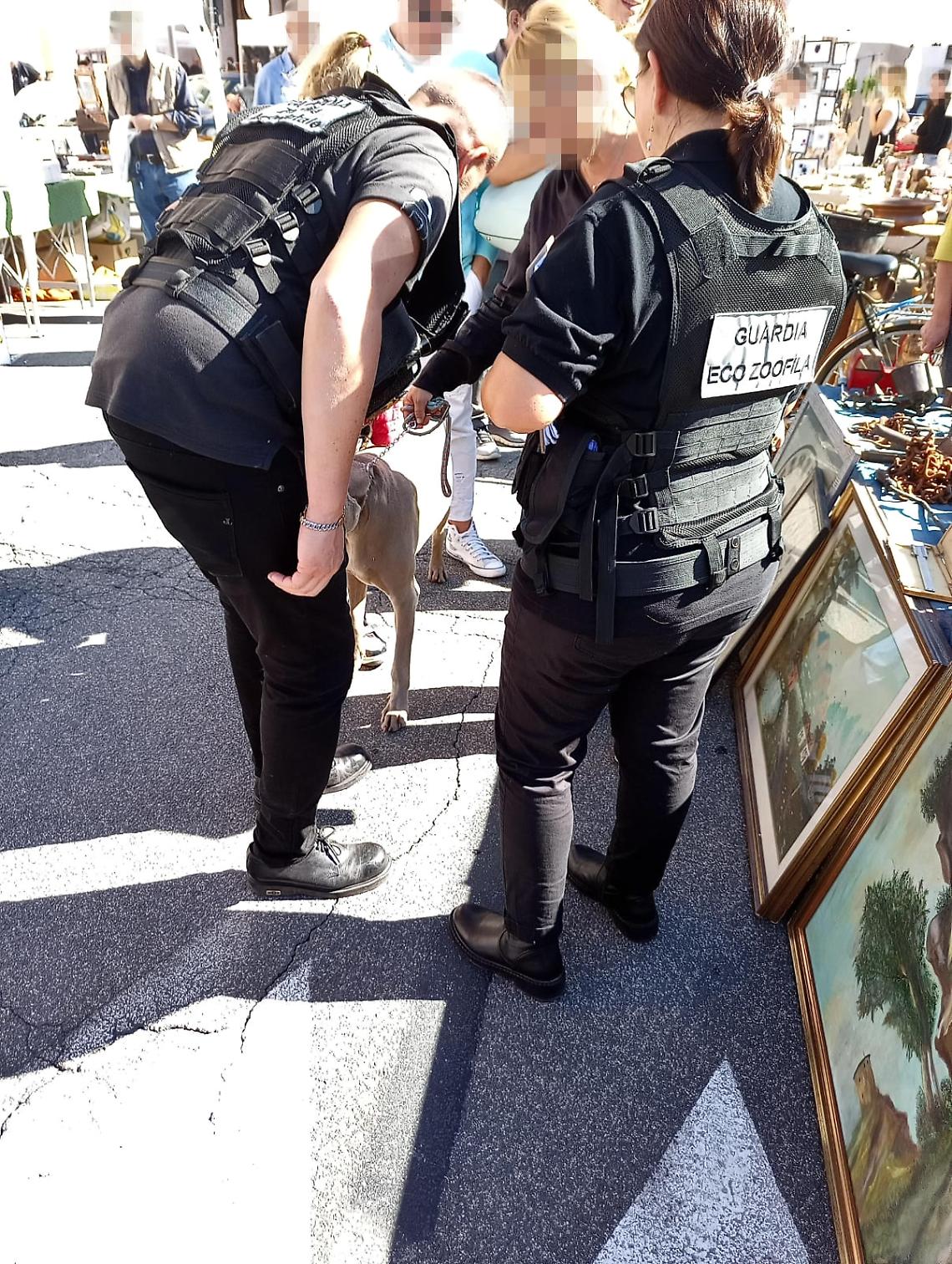 Controlli per i cani al guinzaglio. Pochi in regola: multe in arrivo