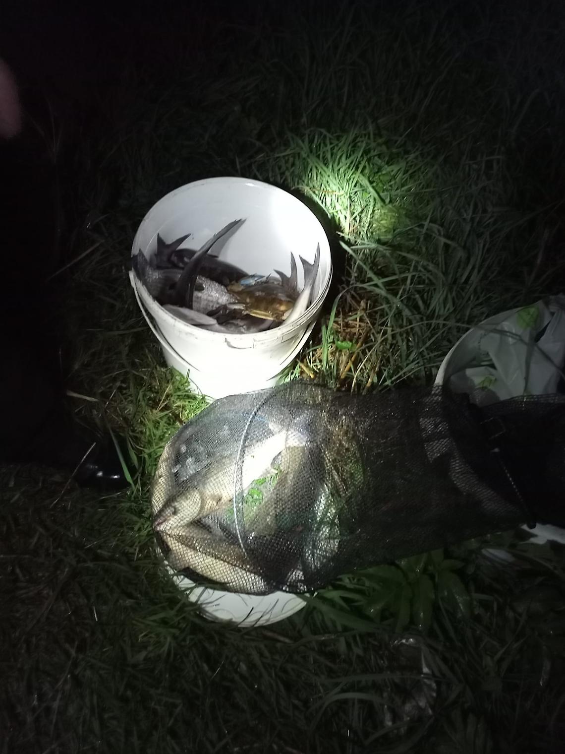 Blitz delle Guardie ittiche ambientali contro la pesca di frodo, multe e sequestri