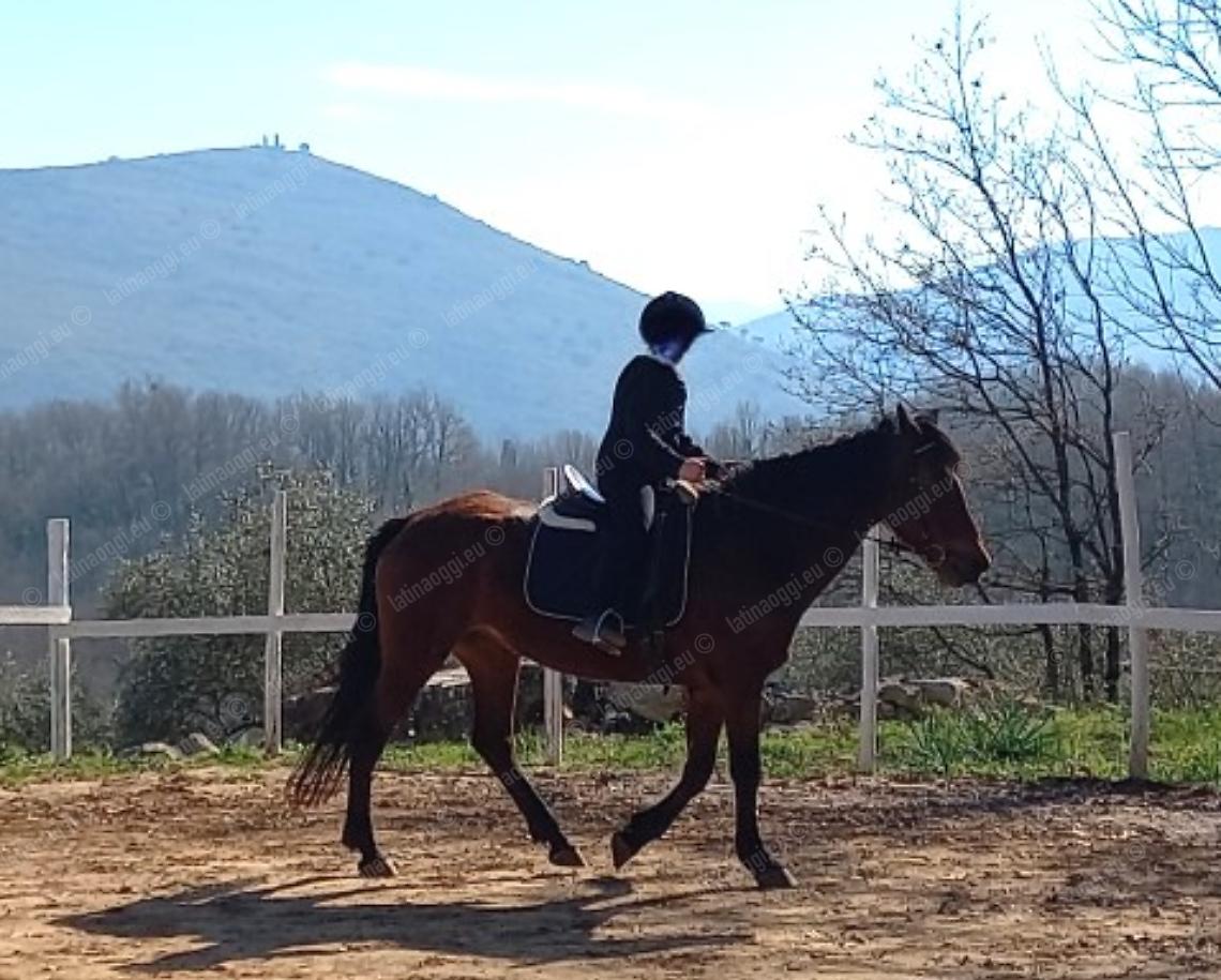Giù da cavallo, bimba grave 