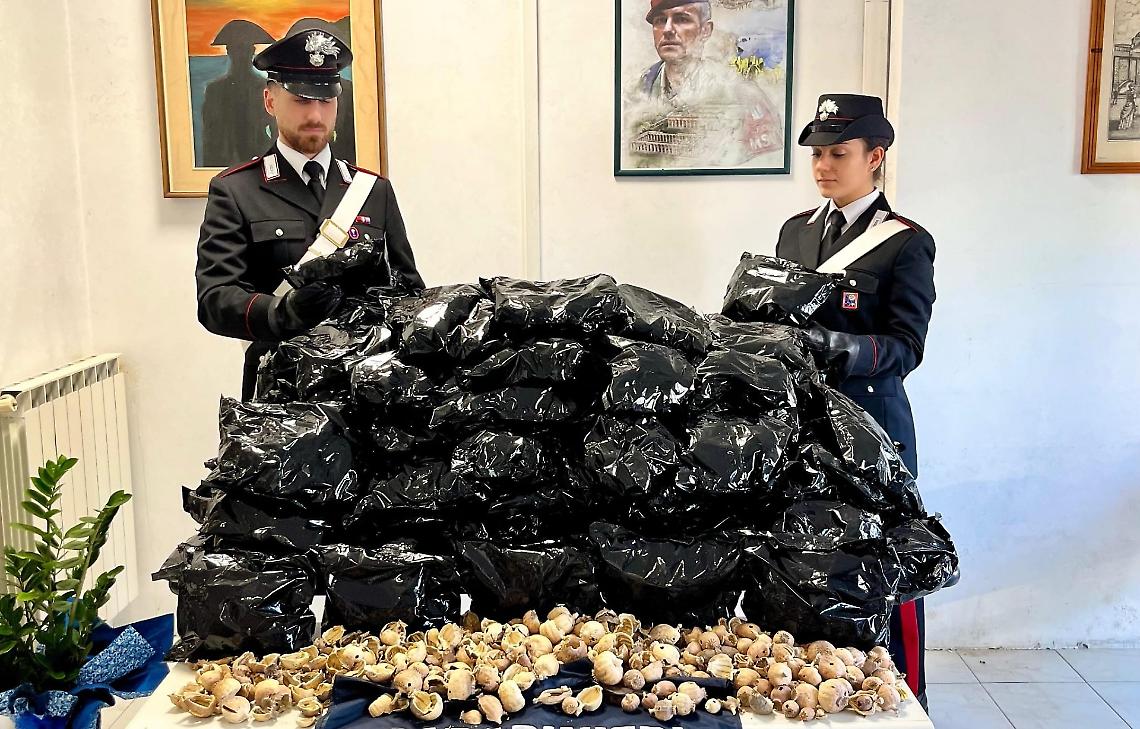 Nascondeva oltre 12 chili di oppio, arrestato 55enne