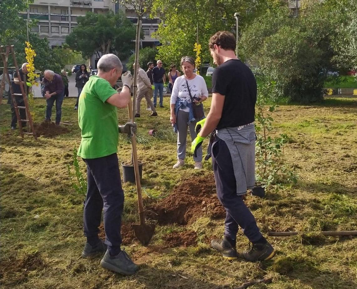 Per mettere radici, alberi piantati in via Bruxelles 