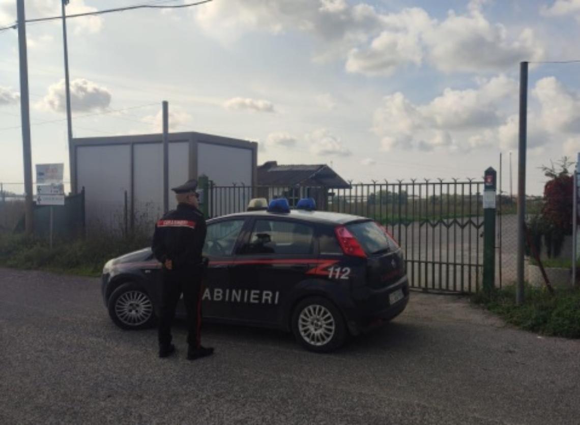 Incursioni notturne ad Aprilia: furto al mercato dei fiori e tentativo di intrusione in un'azienda
