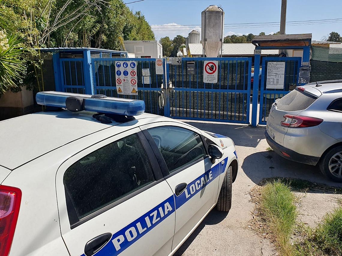 Allarme sanitario per il pollificio: oltre un quarto delle 80.000 galline sparite sono date per morte