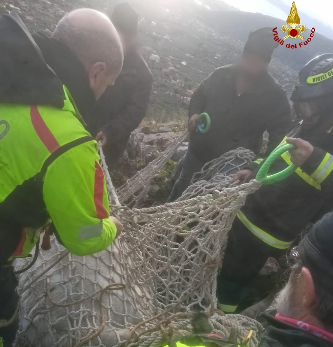 Mucca cade in un dirupo, recuperata e salvata dai vigili del fuoco