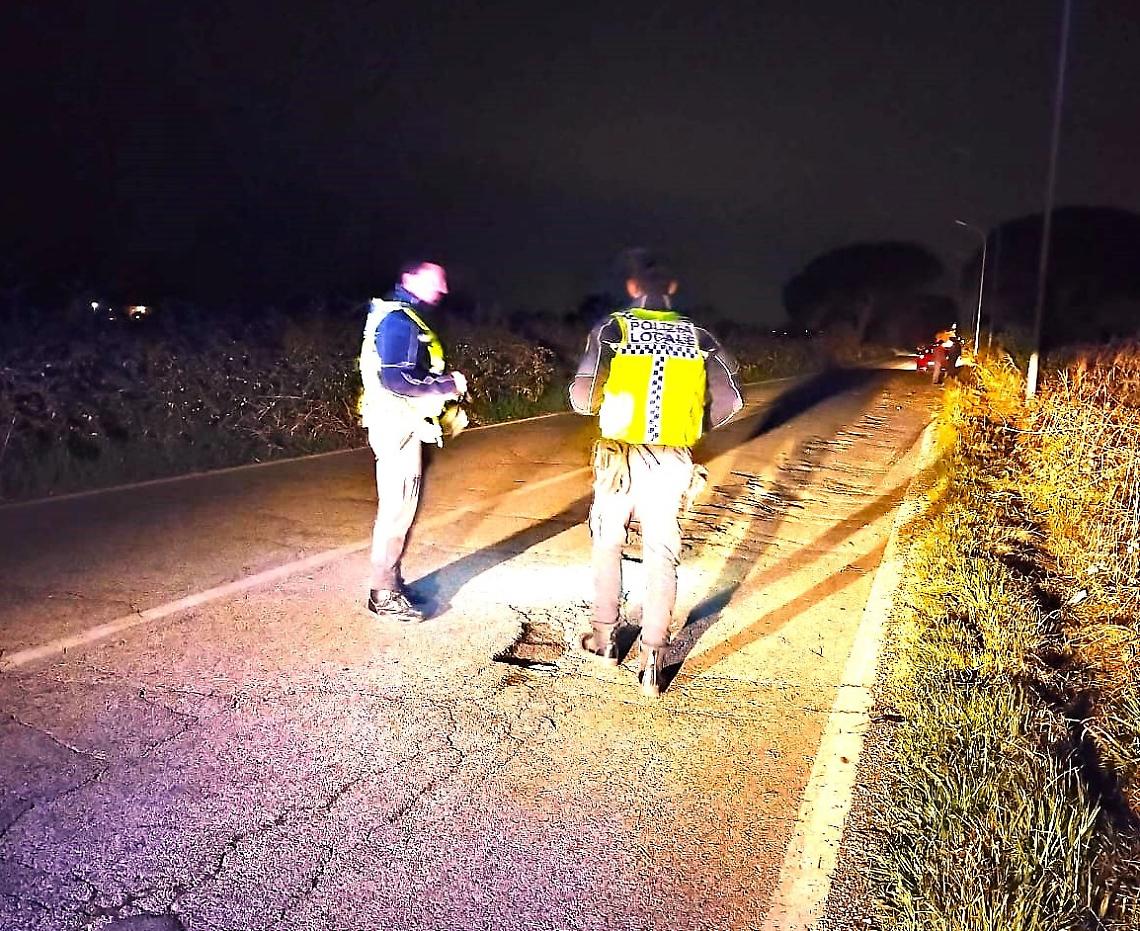 Sbanda con l'auto per evitare un animale e finisce fuoristrada