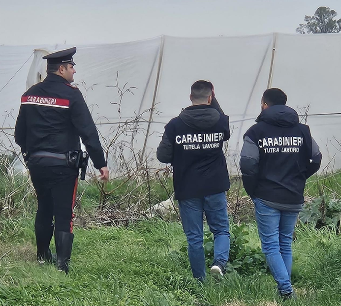 Falsi attestati di sicurezza e operai in nero nell'azienda agricola