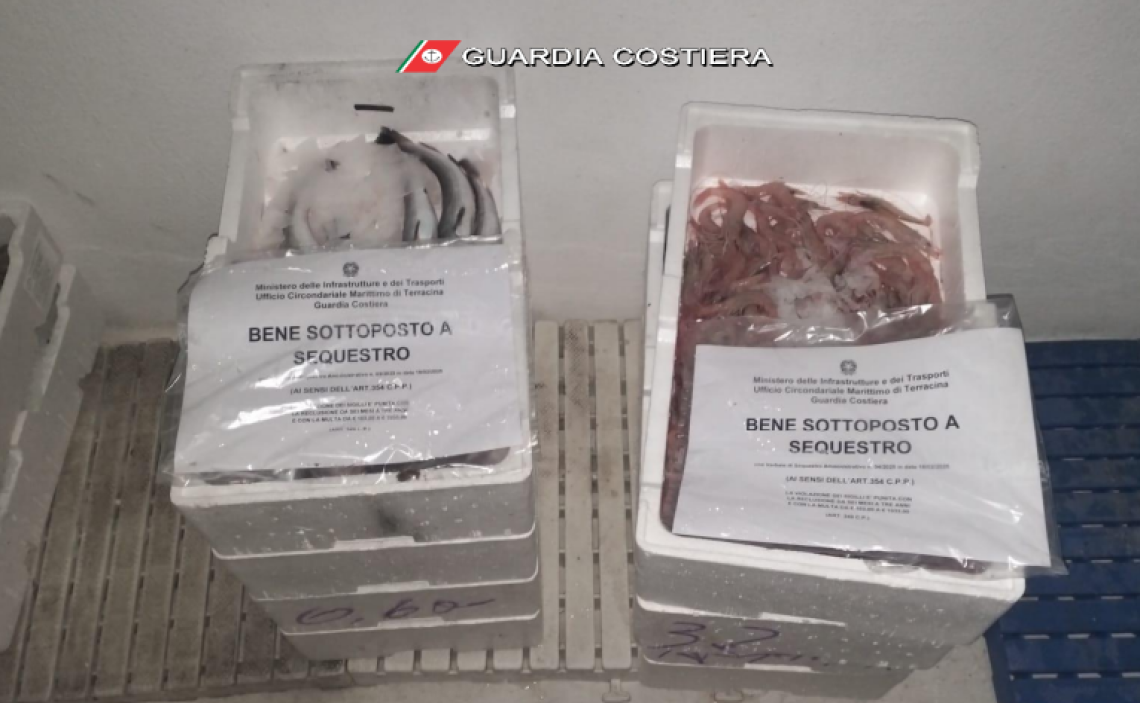 Prodotti ittici non tracciati, la Guardia Costiera ne sequestra 25 chili