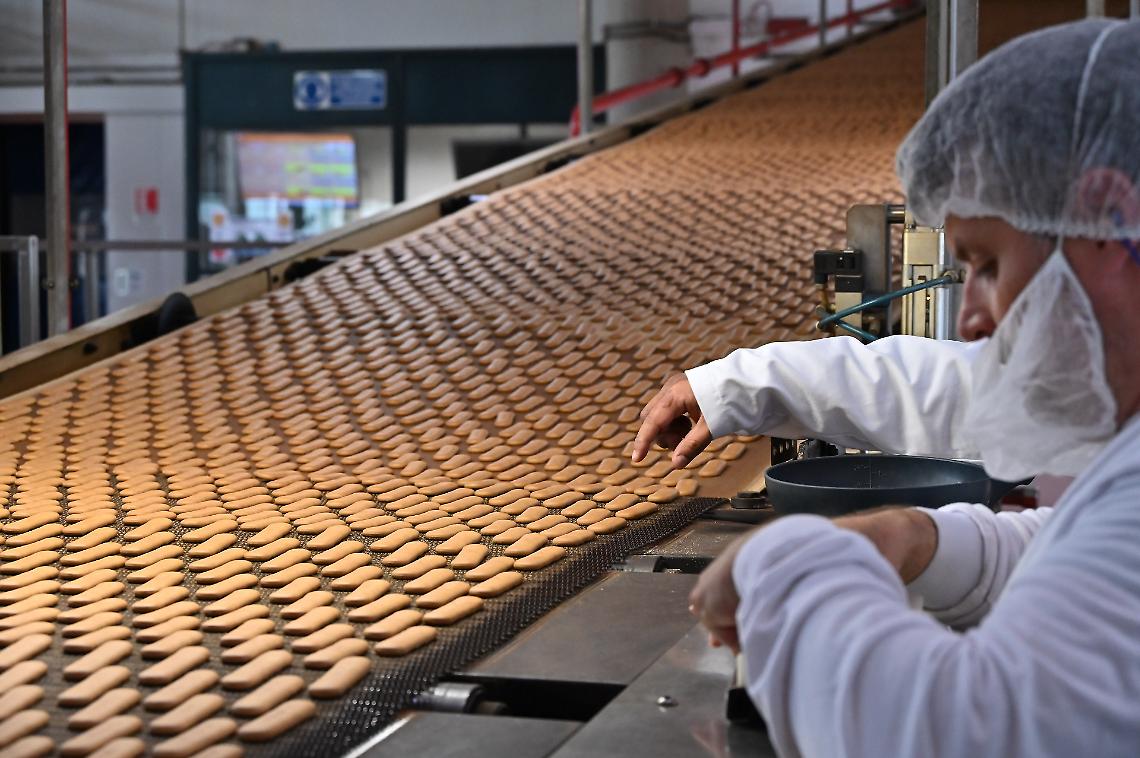 Plasmon in vendita? Scatta l’allarme per il sito pontino