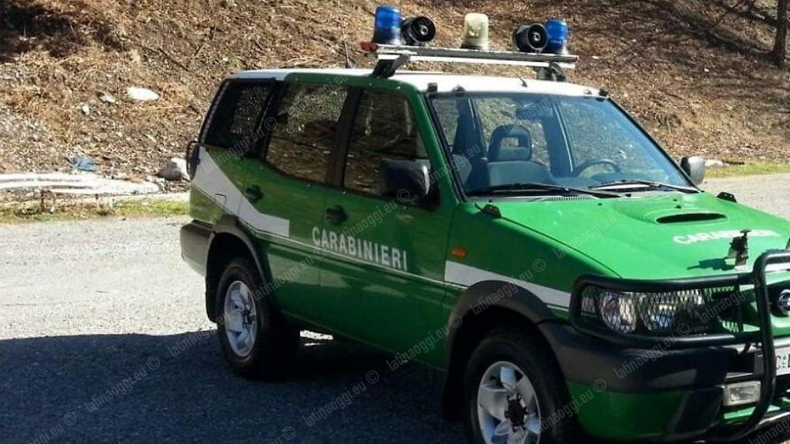 Roghi e truffa, Cestra nega le accuse