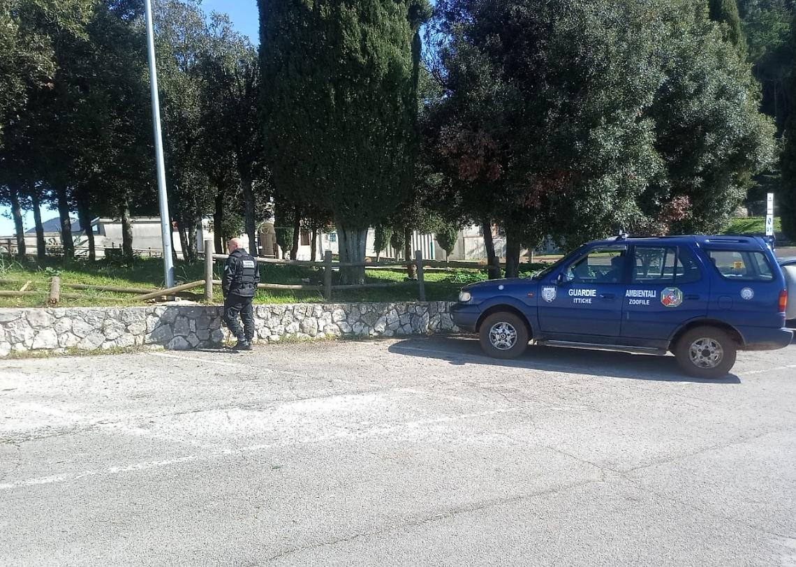 Cercavano lupi, trovano una discarica