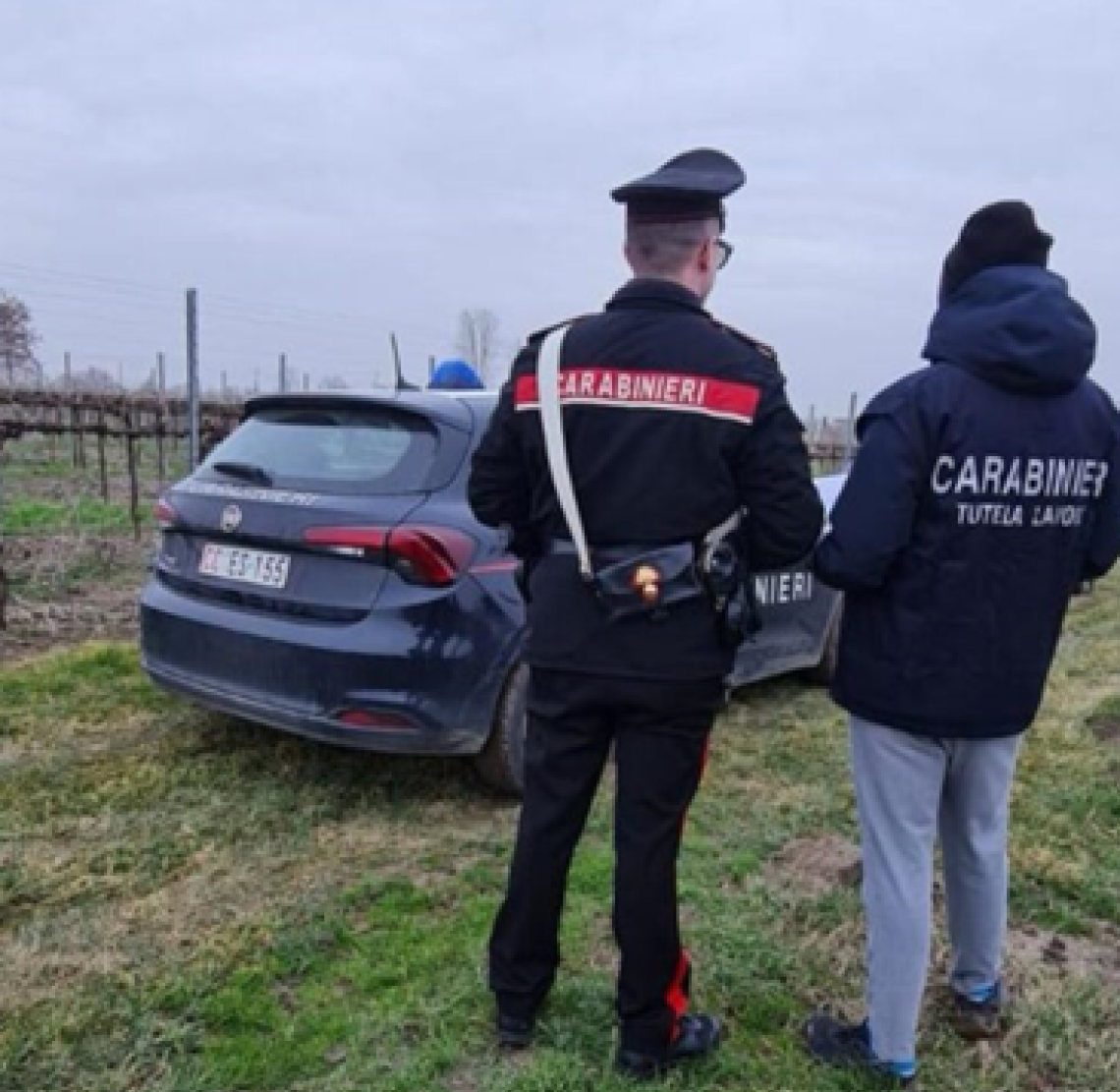 Al lavoro nei campi senza documento di valutazione dei rischi, multa per il proprietario