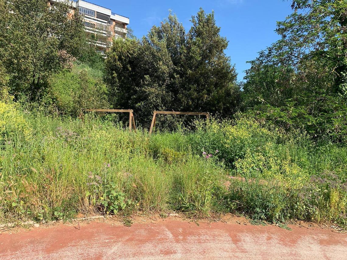 Parco della Crocetta, il M5S: "Un cantiere abbandonato"