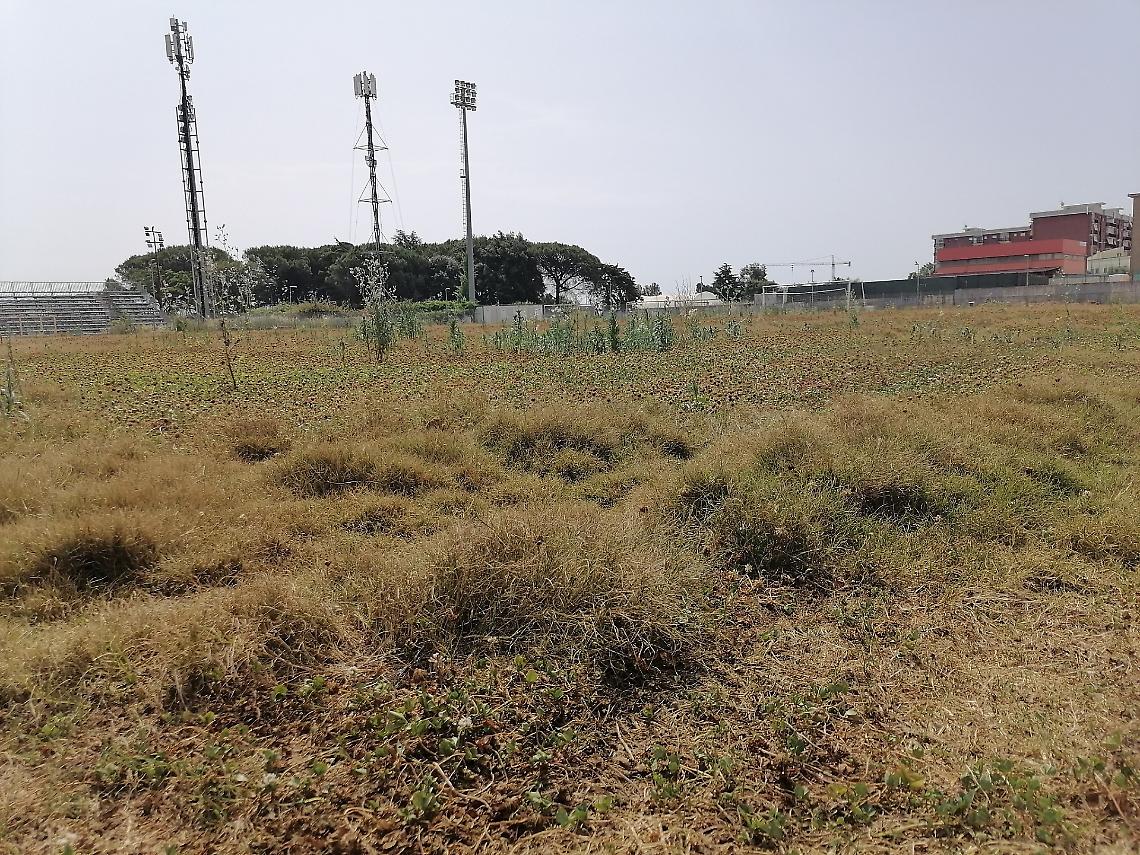 Quinto Ricci, stadio off limits fino al 2027