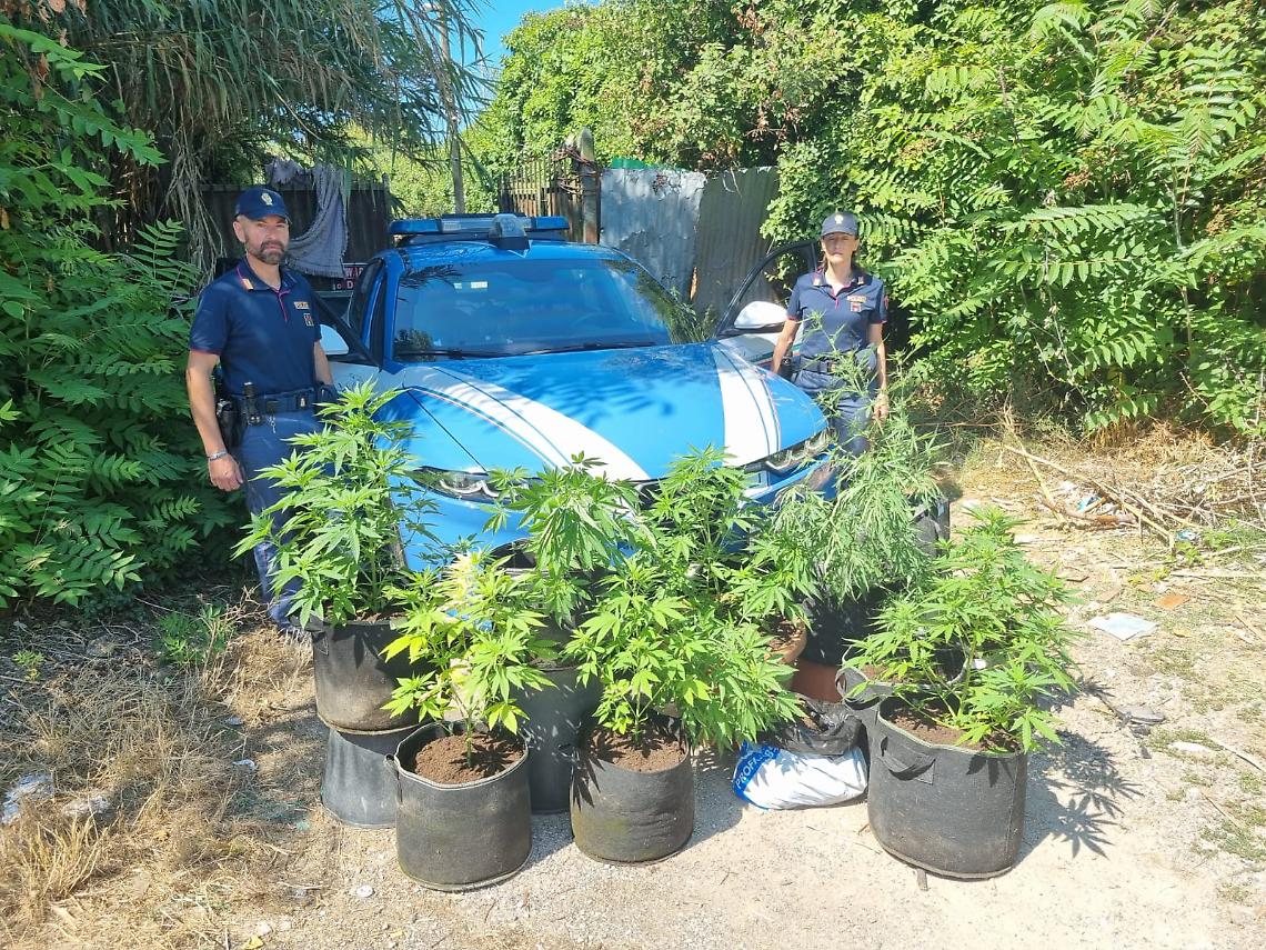 Piantagione di marjuanana a Gaeta: scarcerati l’uomo e la donna arrestati dalla Polizia 