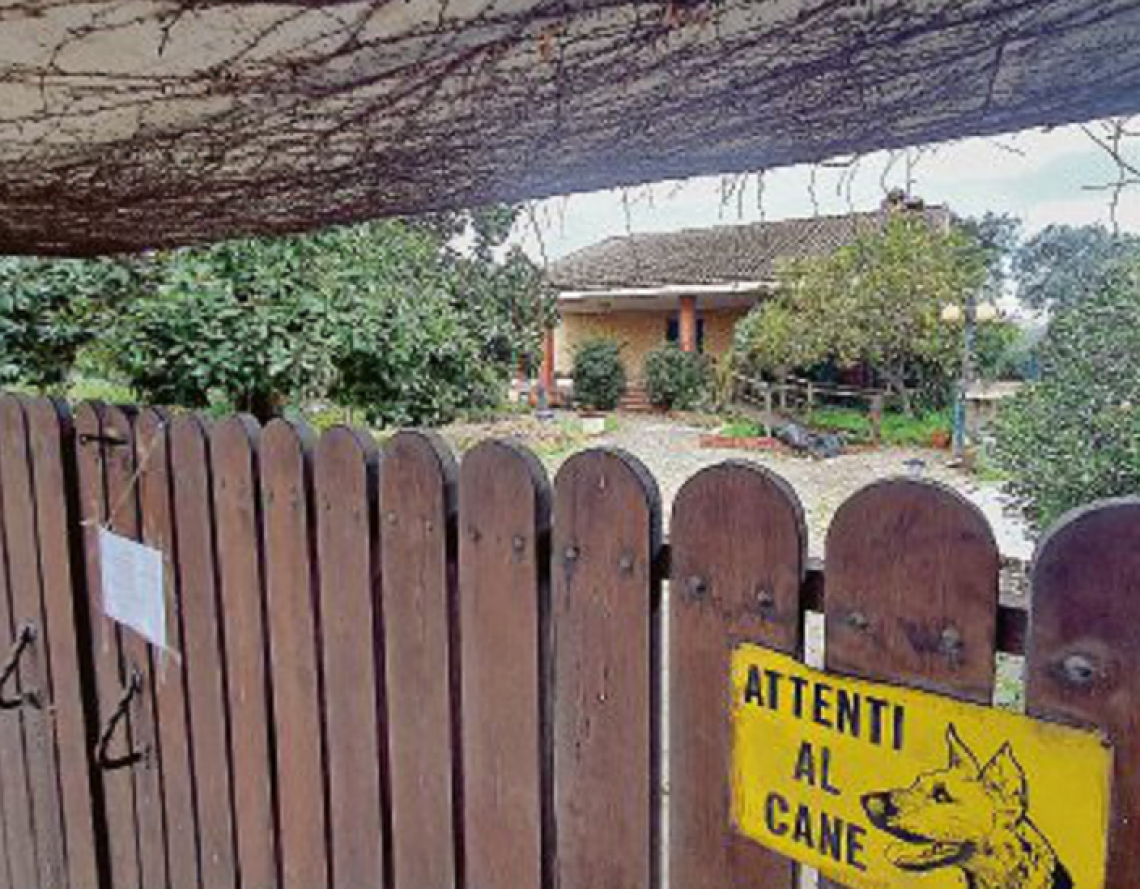 Sbranata dai cani, foto choc di Patricia