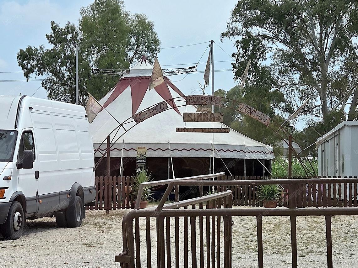 Abusi edilizi nel parco con tigri e leoni, il Comune ordina la demolizione