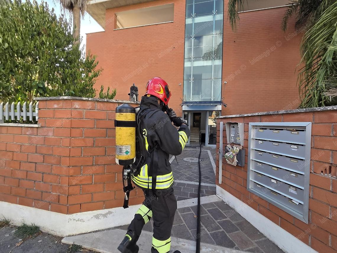  Trovata la gatta scampata all'incendio in casa, si era lanciata dal terzo piano  
