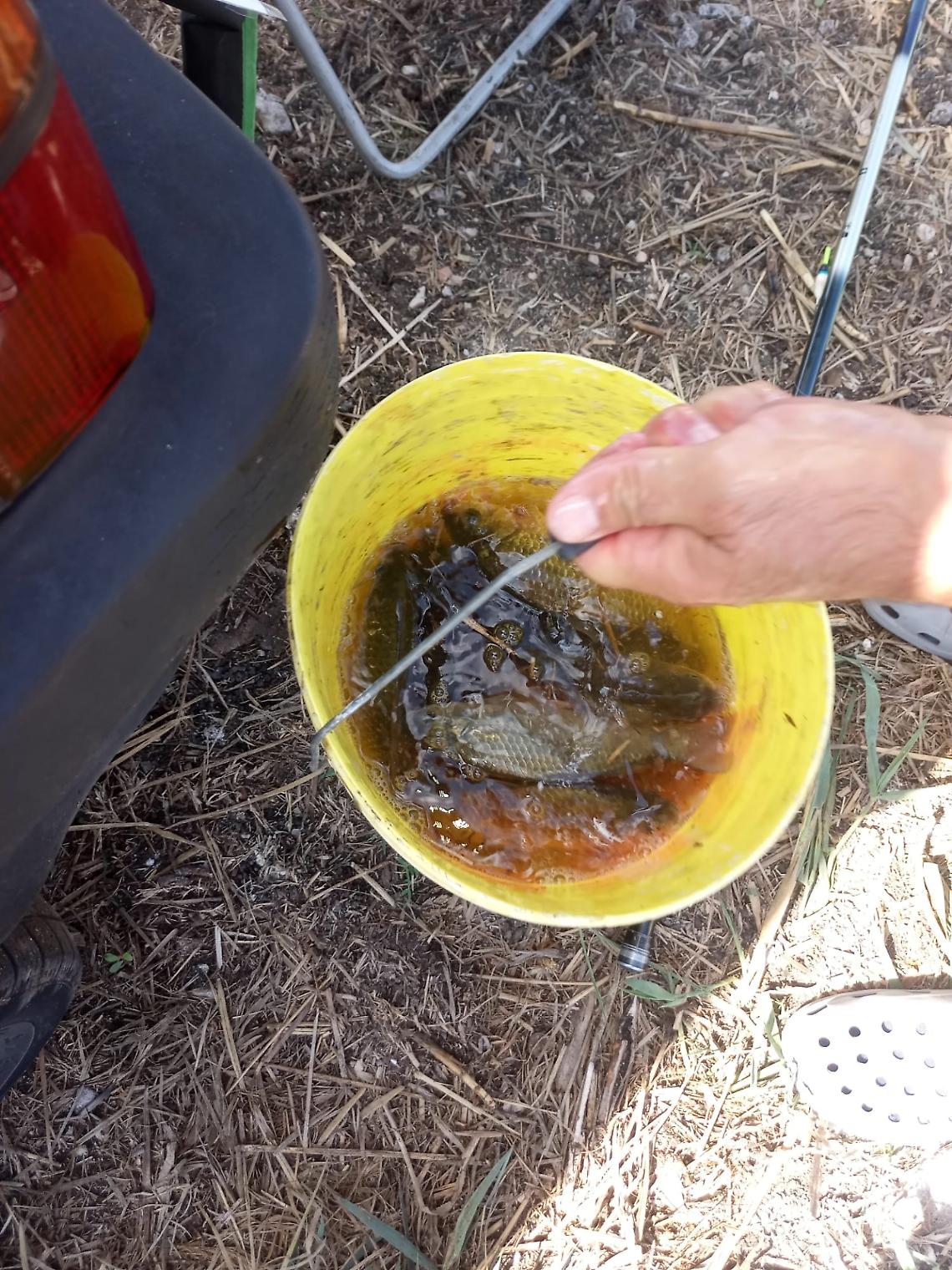 Blitz delle Guardie Ittiche Fipsas: 22 pescatori verbalizzati