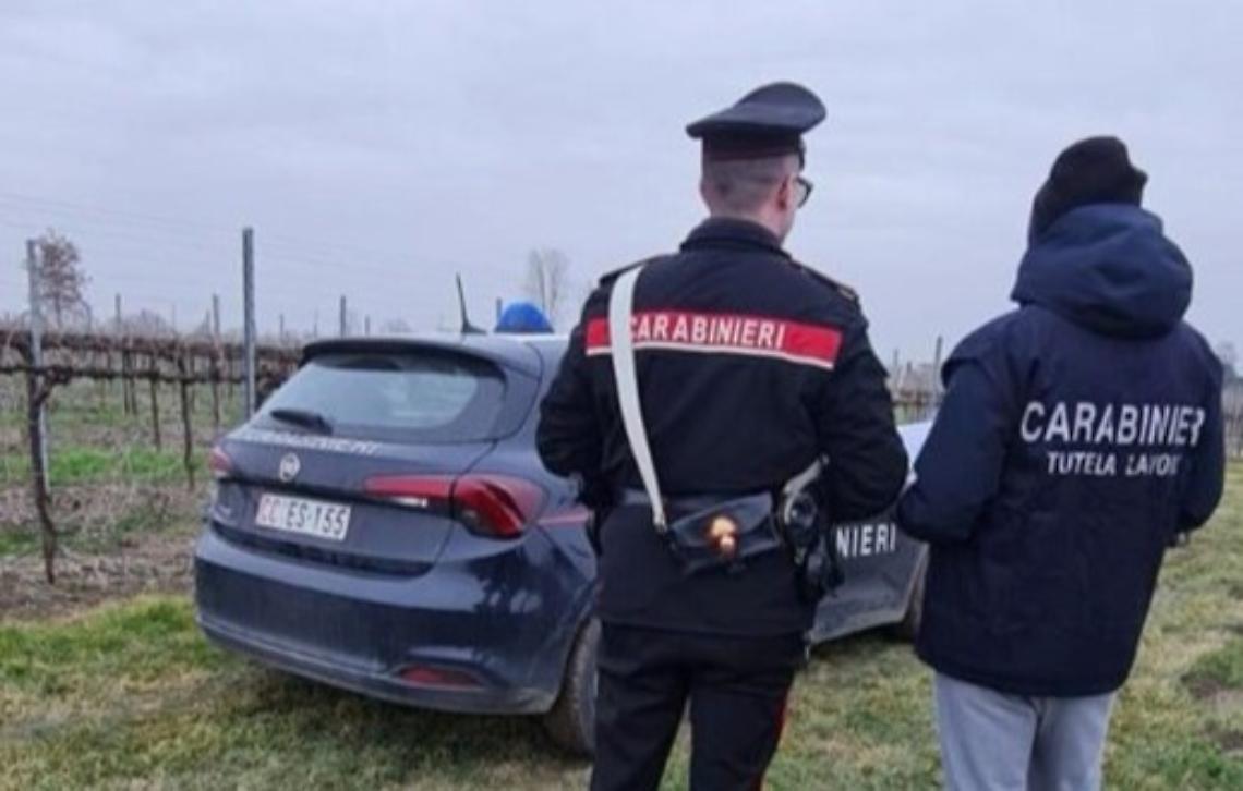 Controlli per contrastare il caporalato, sanzionate e segnalate tre aziende agricole