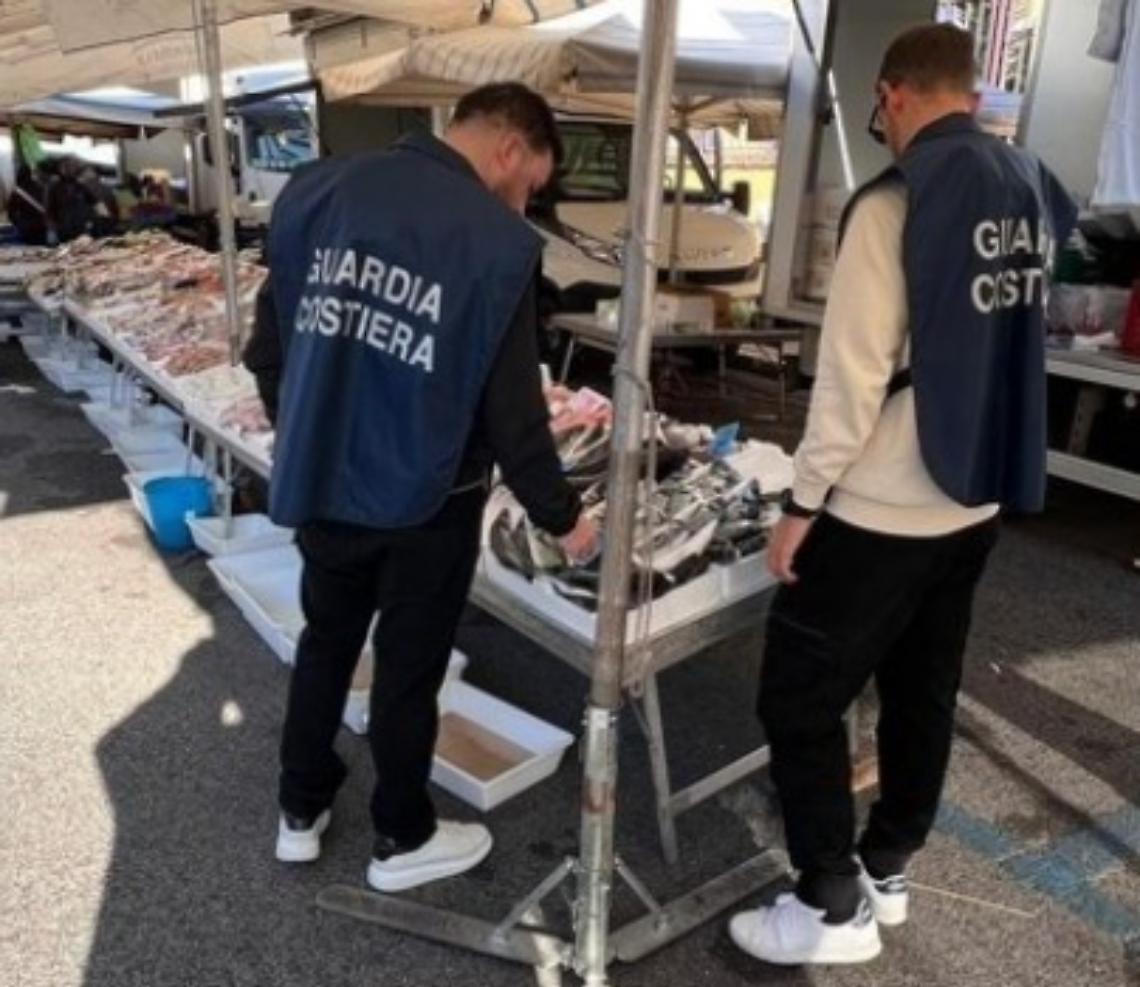 La Guardia Costiera sequestra  200 kg di pescato senza etichettatura
