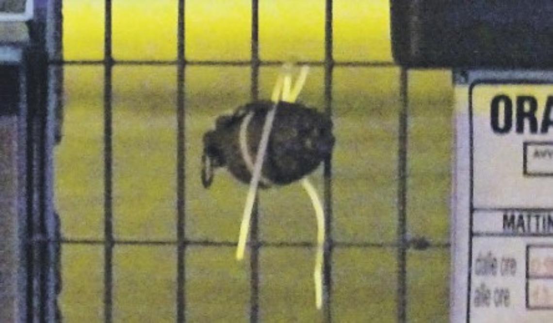 Intimidazioni di fuoco, usura e intestazione fittizia di beni: in otto dal gup per Assedio due 