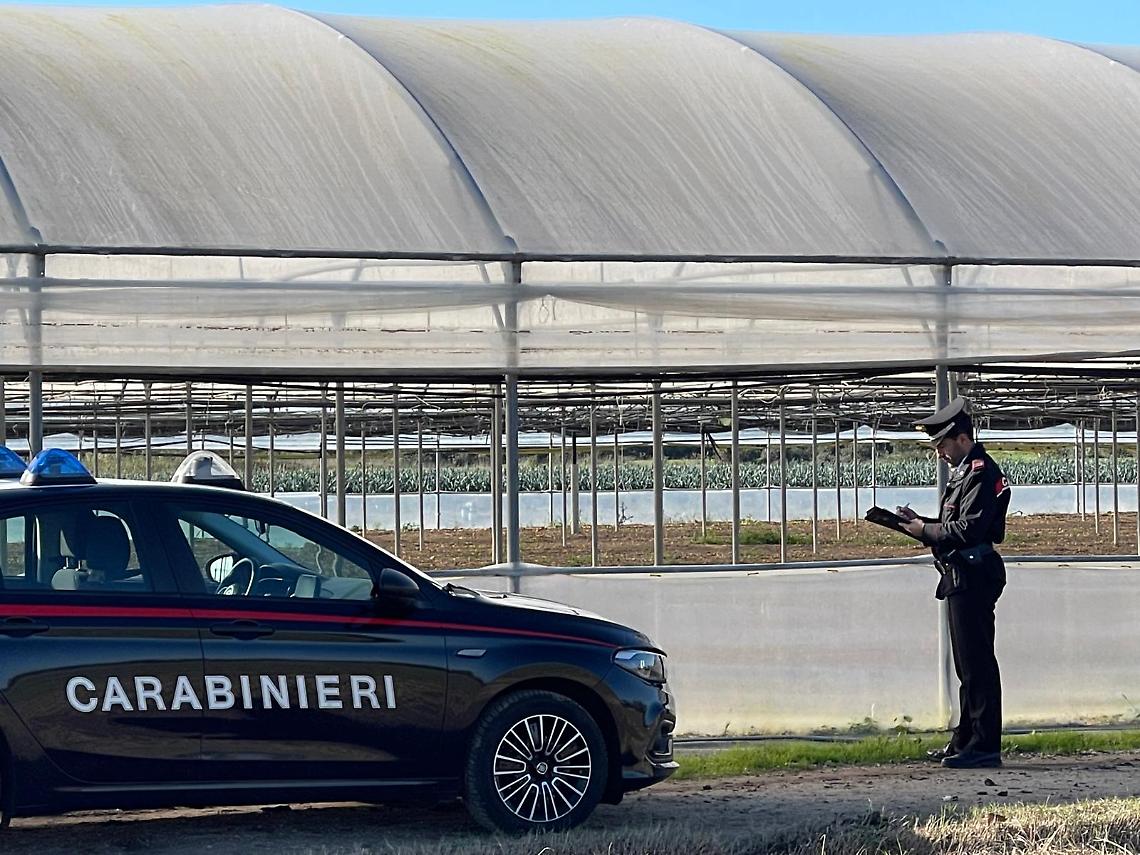 Terracina, operaio cade dalla scala mentre lavora in una serra: intervengono i carabinieri