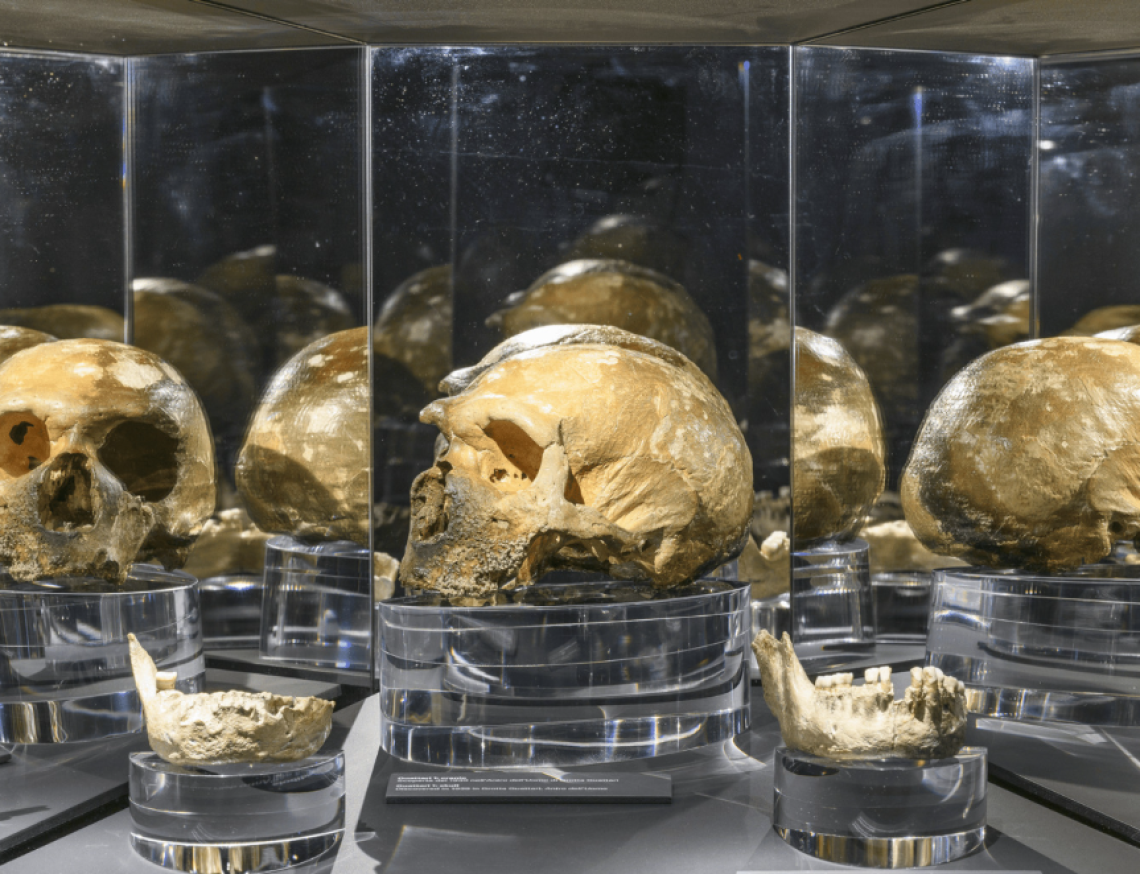 Apre oggi il Laboratorio Neanderthal