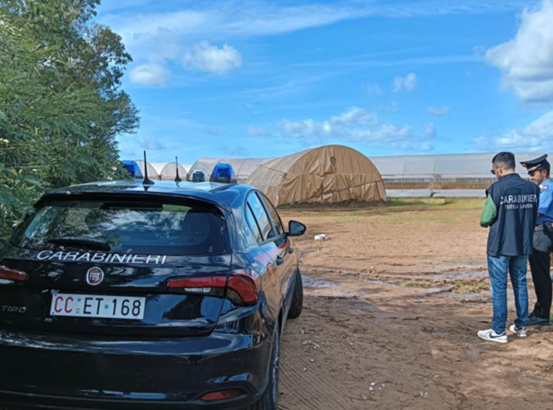 Caporalato, controlli dei Carabinieri nelle aziende agricole di Priverno e Latina: due denunce