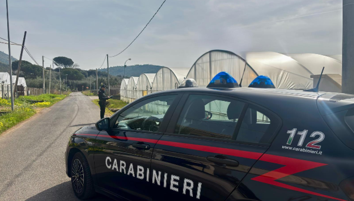 Controlli dei Carabinieri in un&rsquo;azienda agricola. Sospesa l&rsquo;attivit&agrave; e denunciata la titolare