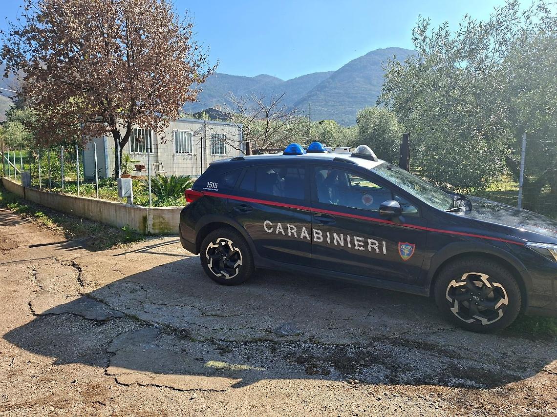 Piazzale e container abitativo senza permessi nell'uliveto, denunciato