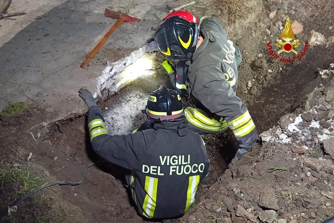 Cane intrappolato in una tubatura salvato dai vigili del fuoco