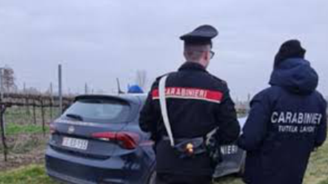 I Carabinieri eseguono un accesso ispettivo presso un&rsquo;azienda agricola: denunciato il proprietario