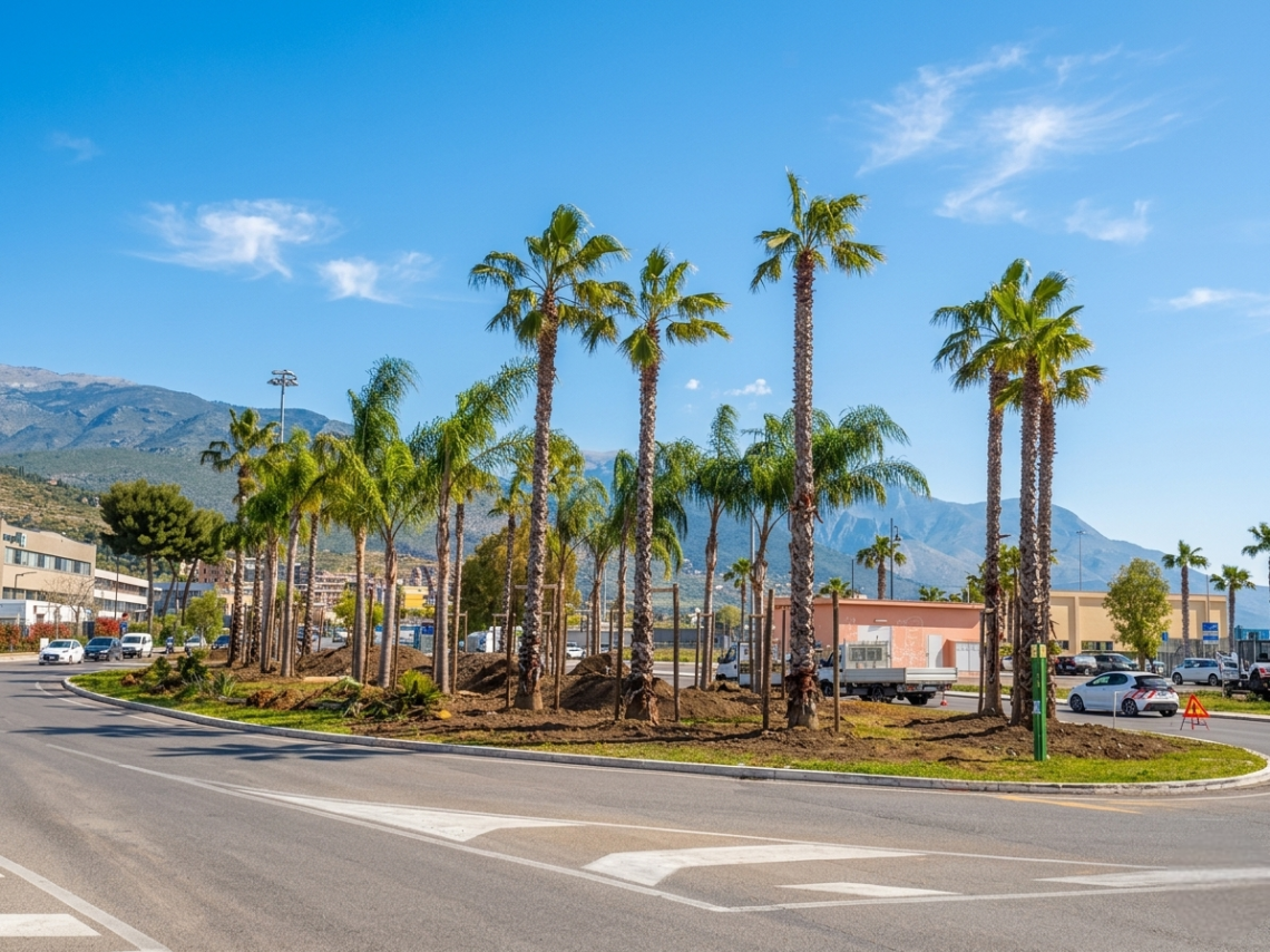 Gaeta sempre pi&ugrave; verde: 180 nuovi alberi all&rsquo;ingresso della citt&agrave;